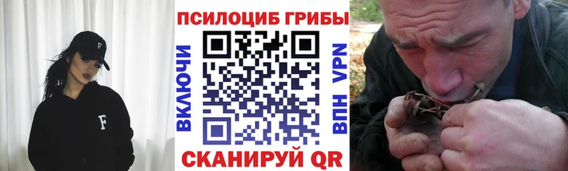 купить  цена  MEGA вход  Галлюциногенные грибы MAGIC MUSHROOMS  Сретенск 